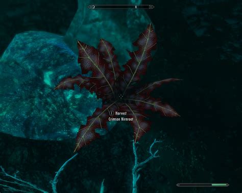Crimson Nirnroot is a special variant of nirnroot that can be found exclusively in Blackreach. . Crimson nirnroot